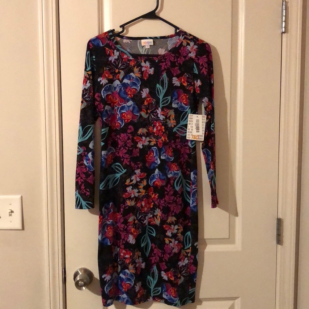 BBWT XS LulaRoe Debbie Dress
